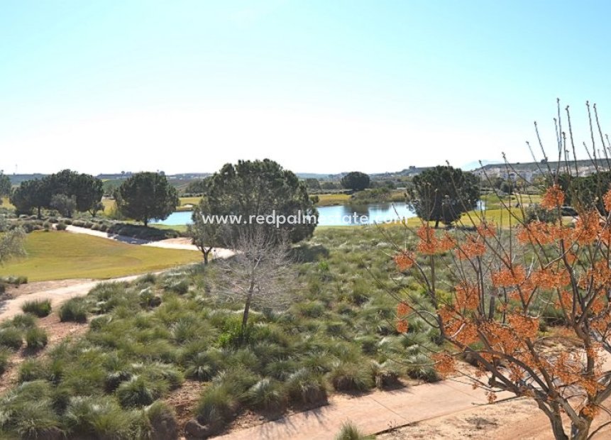 Resale - Apartments -
Hacienda Riquelme Golf Resort