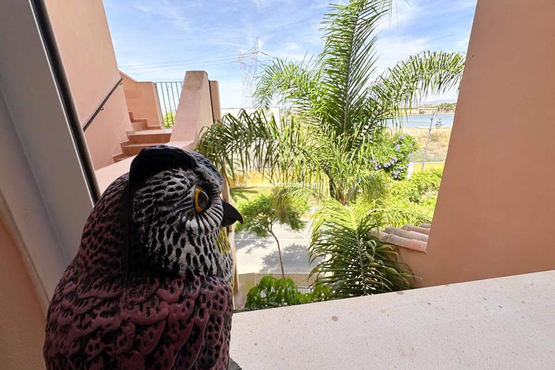 Resale - Apartments -
Mar Menor Golf Resort - Inland