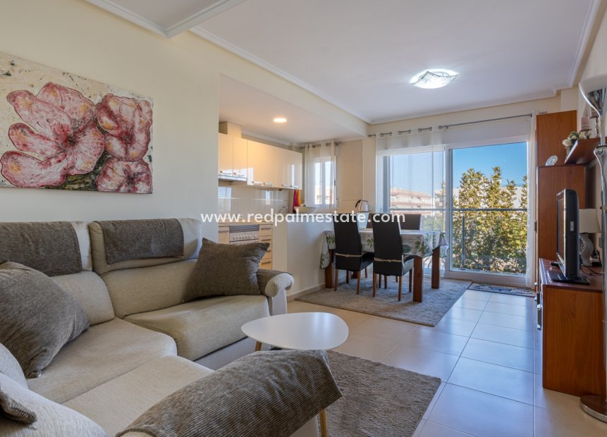 Resale - Apartments -
Montesinos - Costa Blanca