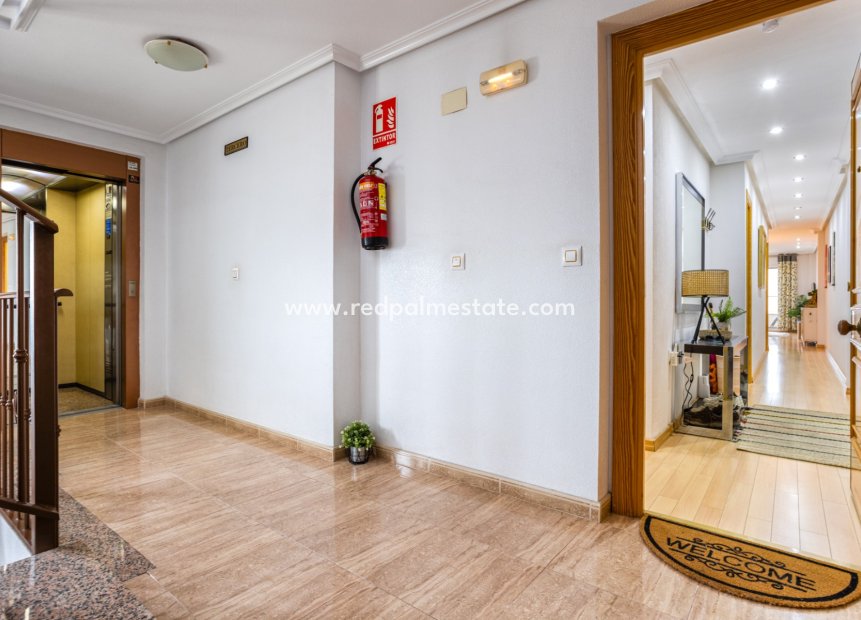 Resale - Apartments -
Montesinos - Los Montesinos