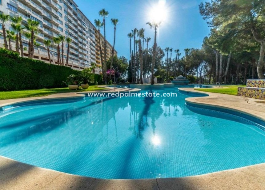 Resale - Apartments -
Orihuela Costa - Altos de Campoamor