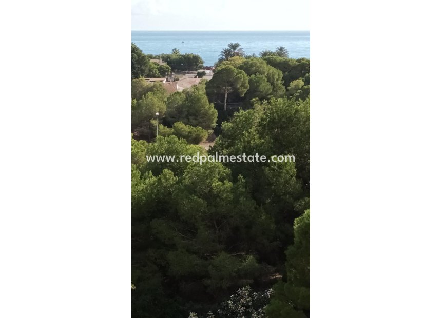 Resale - Apartments -
Orihuela Costa - Campoamor