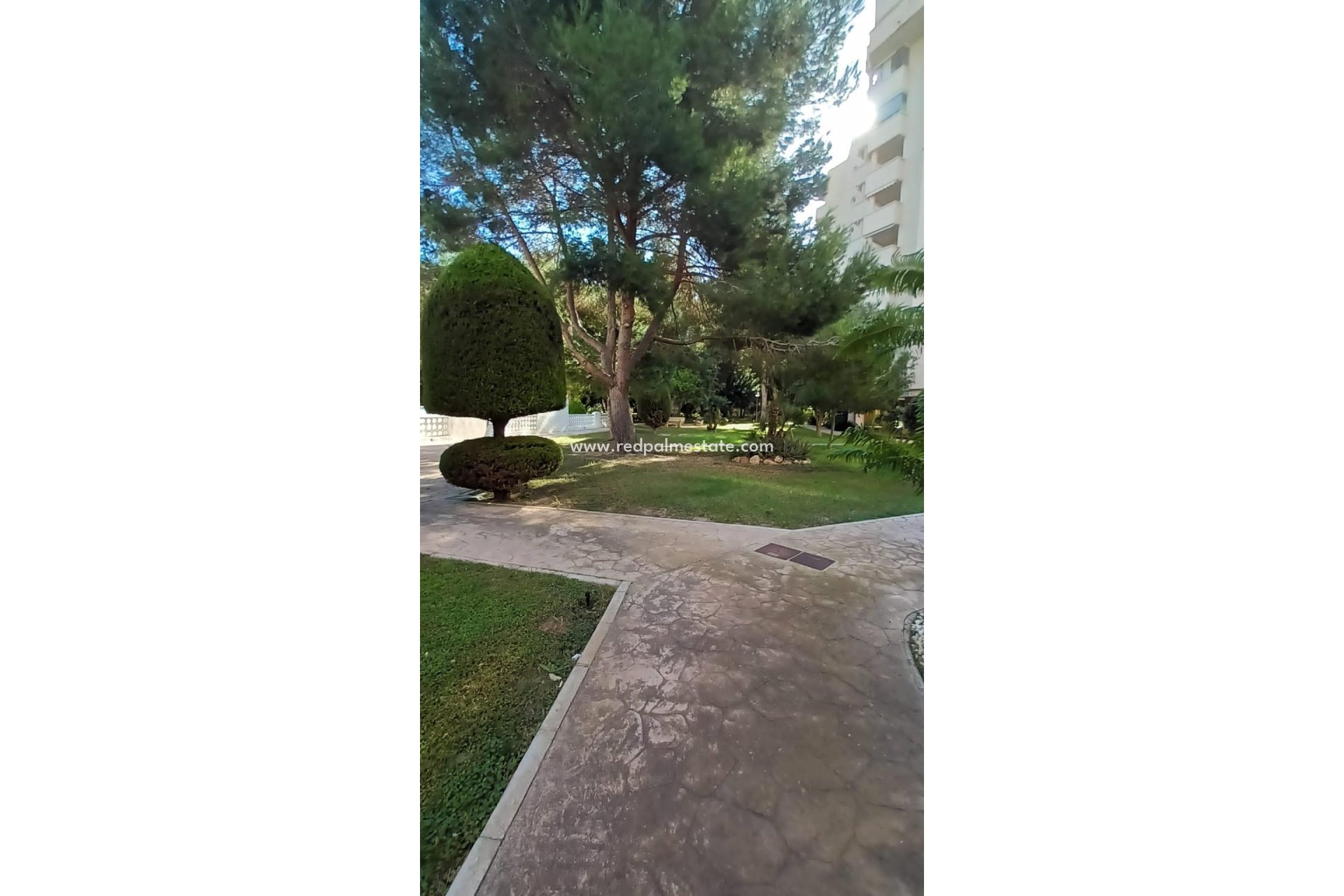 Resale - Apartments -
Orihuela Costa - Campoamor