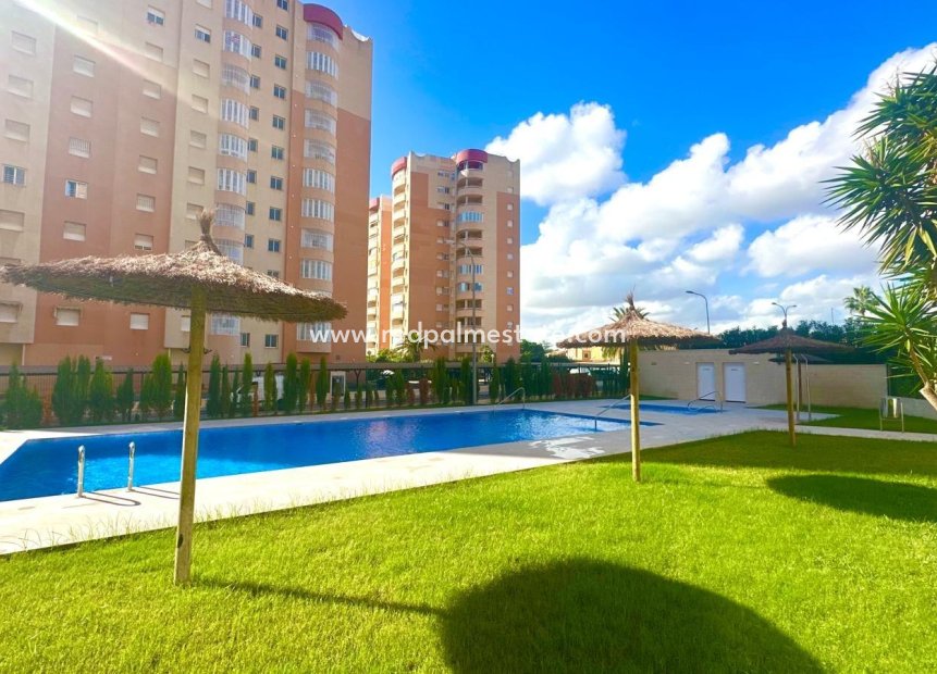 Resale - Apartments -
Orihuela Costa - Campoamor
