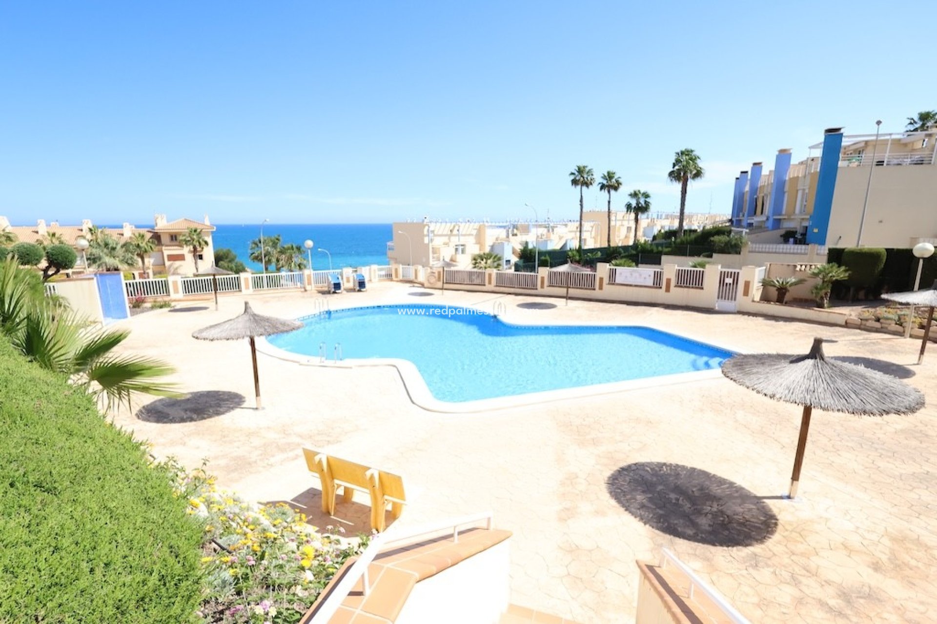 Resale - Apartments -
Orihuela Costa - Campoamor