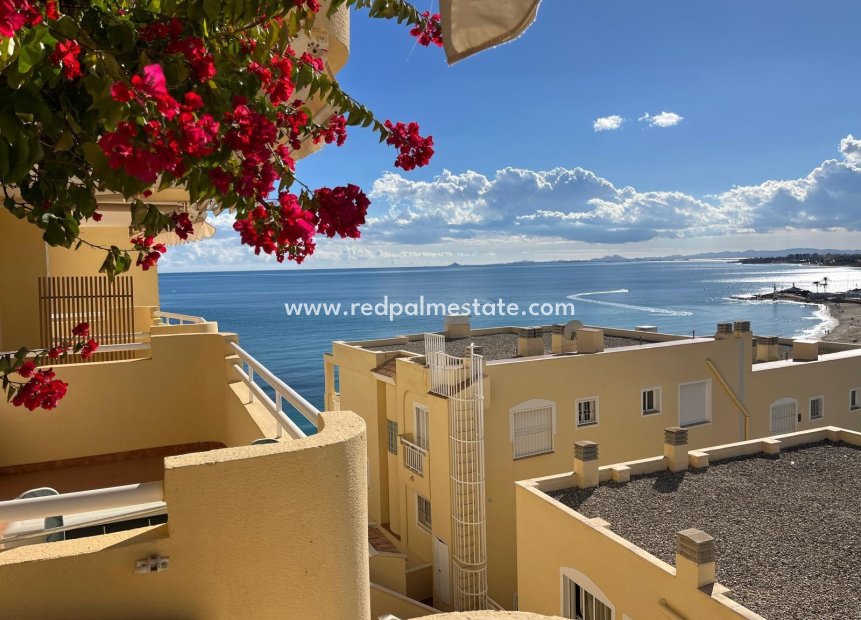 Resale - Apartments -
Orihuela Costa - Campoamor