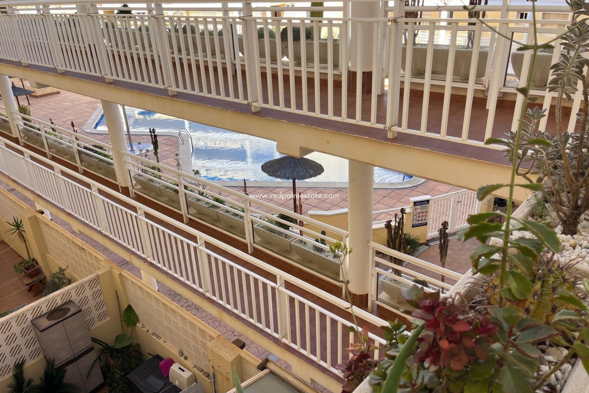 Resale - Apartments -
Orihuela Costa - Campoamor