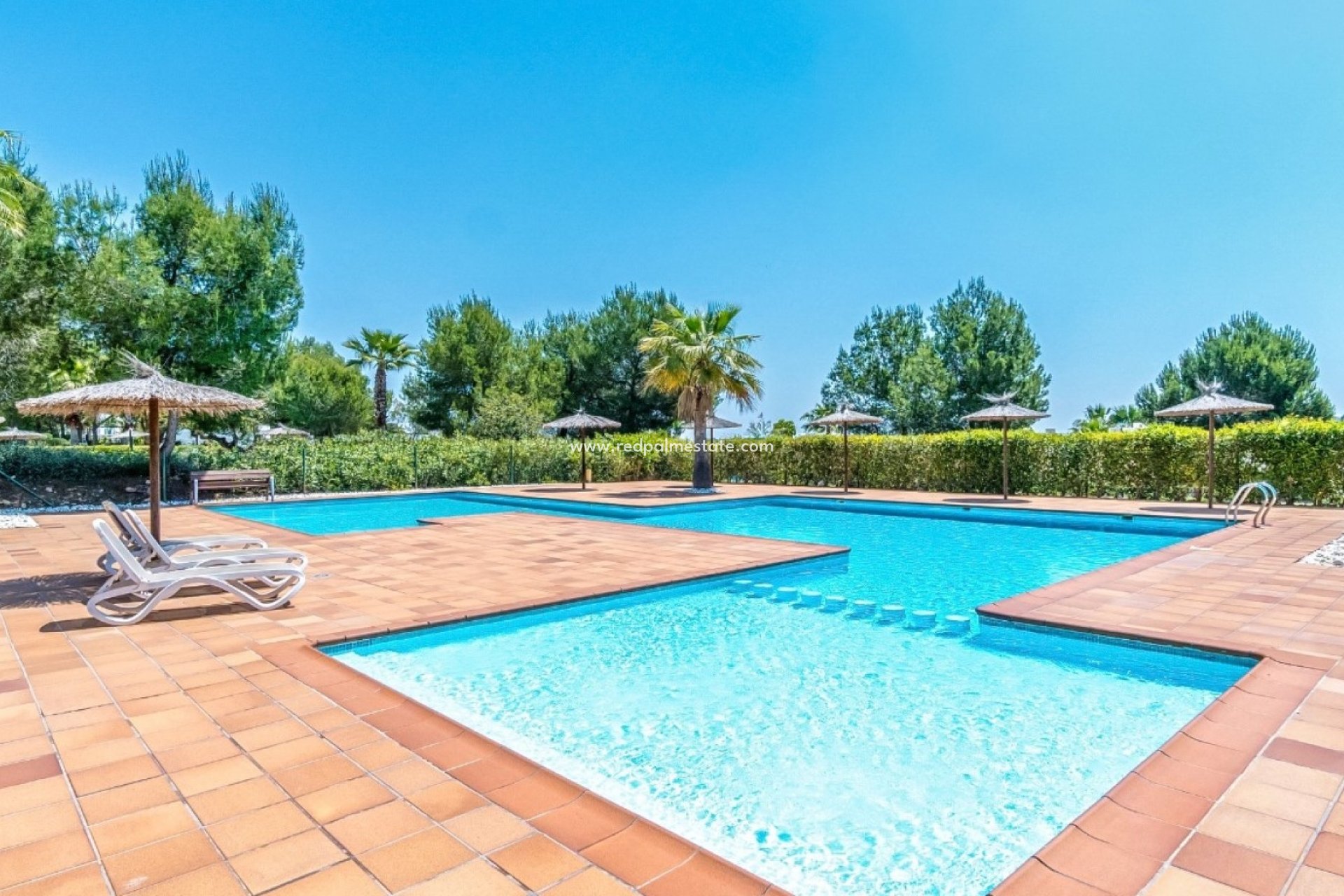 Resale - Apartments -
Orihuela Costa - Costa Blanca