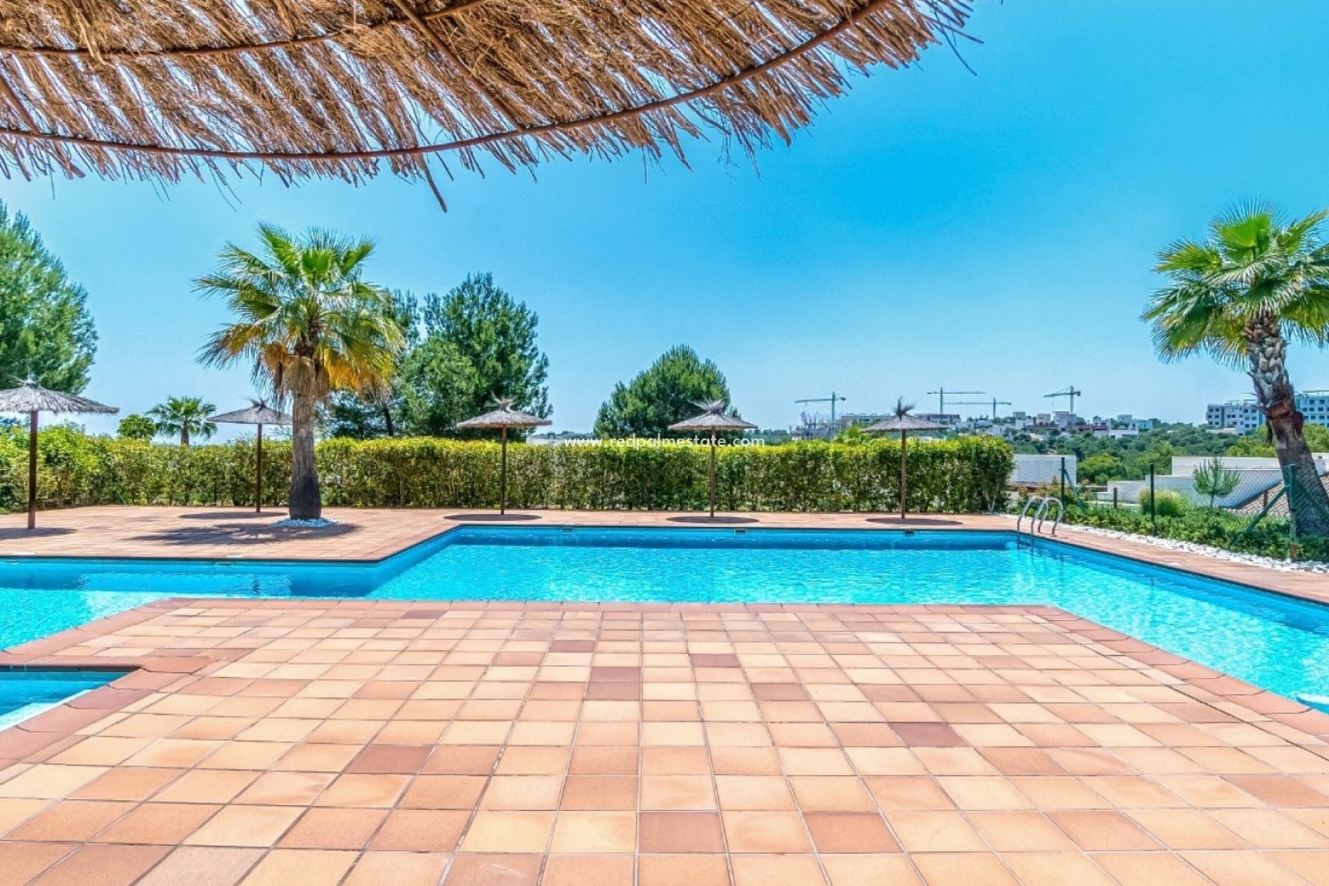Resale - Apartments -
Orihuela Costa - Costa Blanca