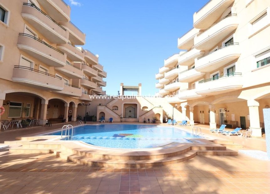 Resale - Apartments -
Orihuela Costa - Costa Blanca