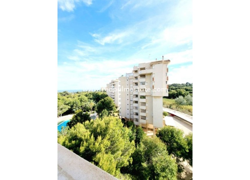 Resale - Apartments -
Orihuela Costa - Dehesa de campoamor