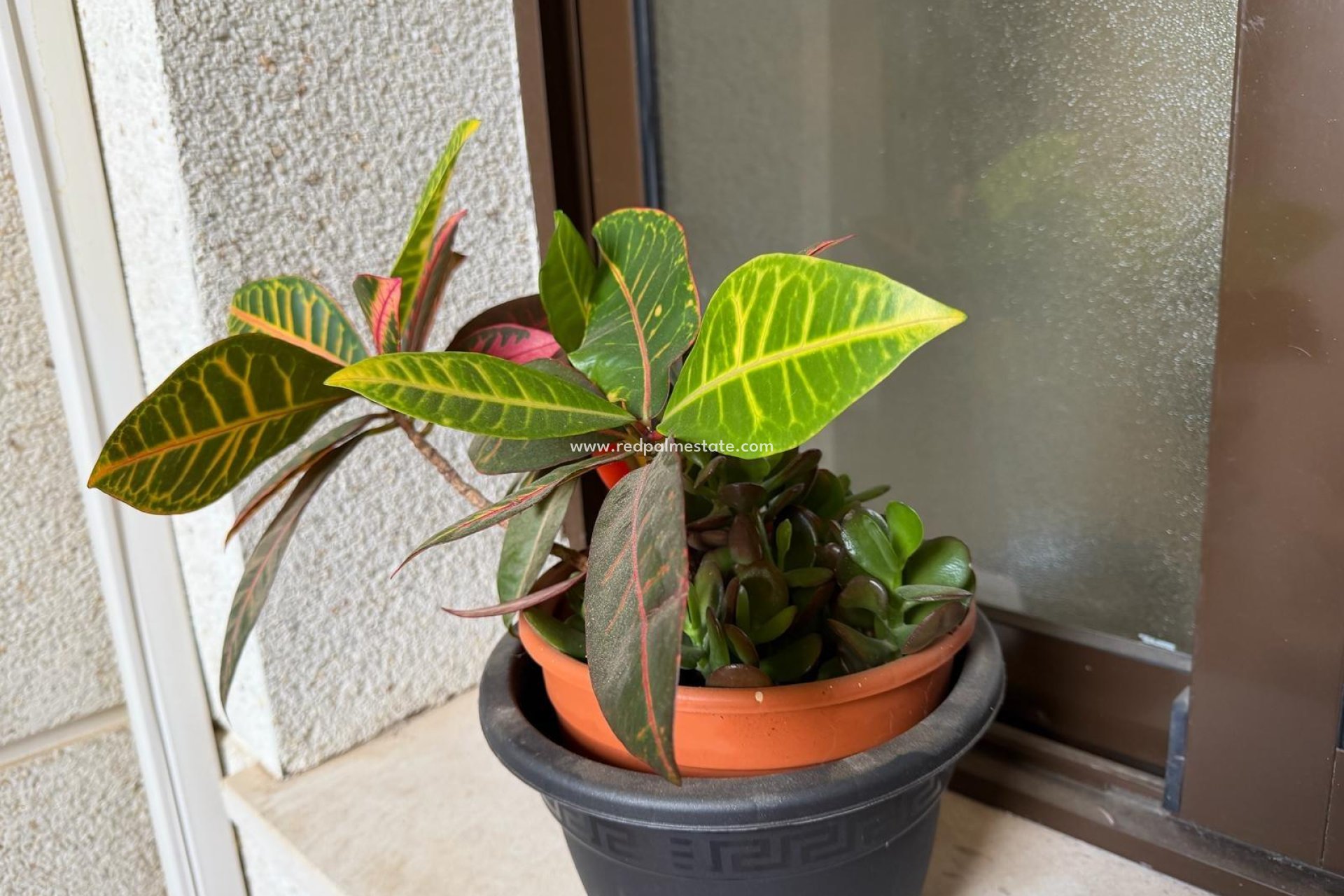 Resale - Apartments -
Orihuela Costa - Las Ramblas