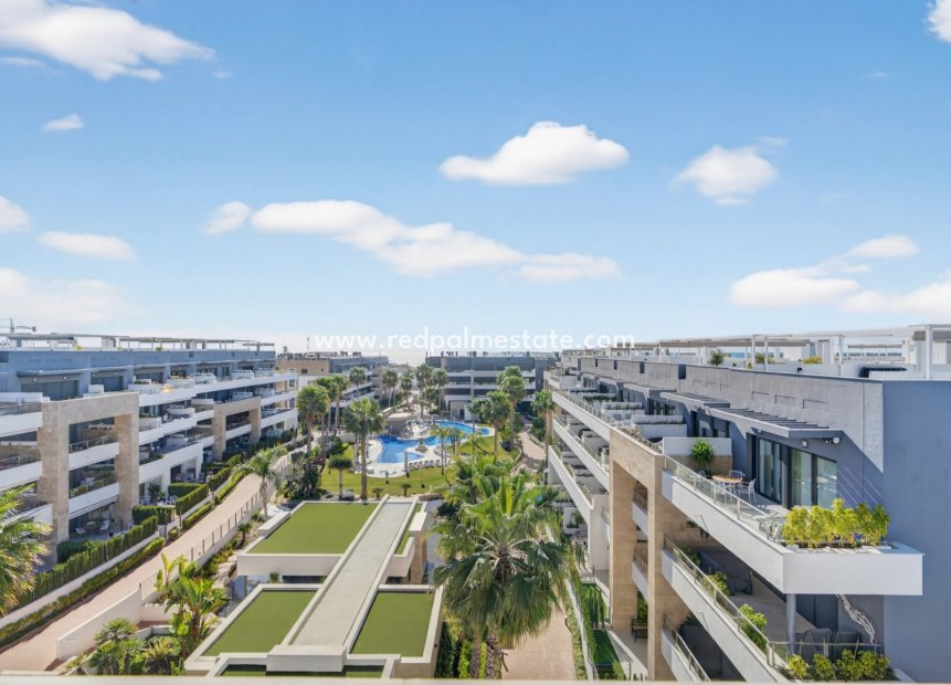 Resale - Apartments -
Orihuela Costa - Playa Flamenca