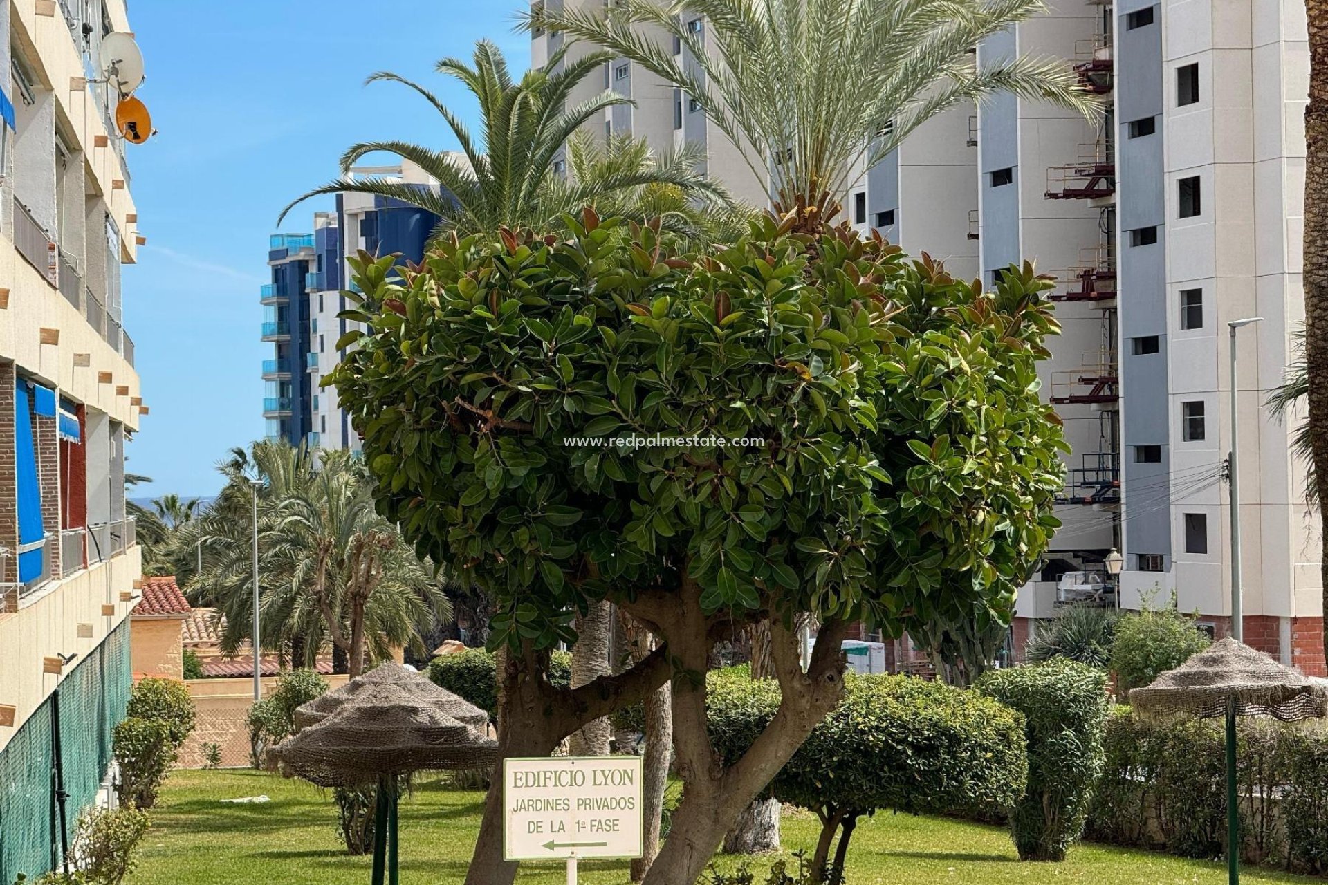 Resale - Apartments -
Orihuela Costa - Punta prima