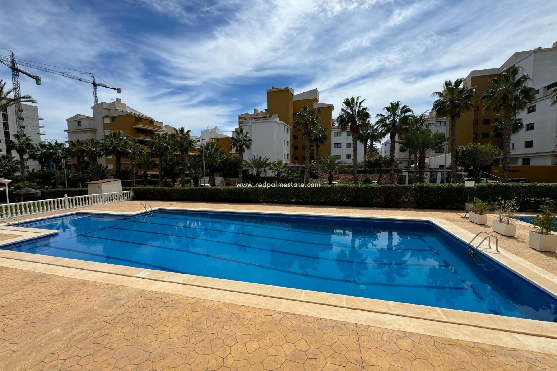 Resale - Apartments -
Orihuela Costa - Punta prima