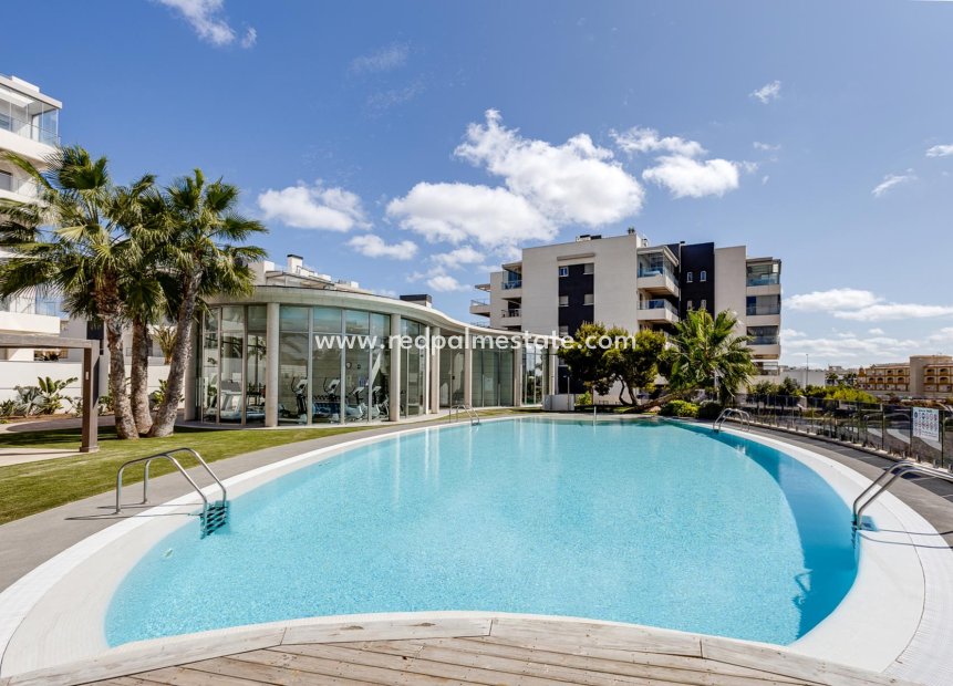 Resale - Apartments -
Orihuela Costa