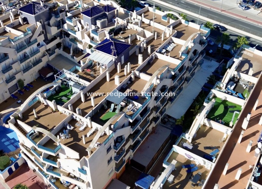 Resale - Apartments -
Orihuela Costa