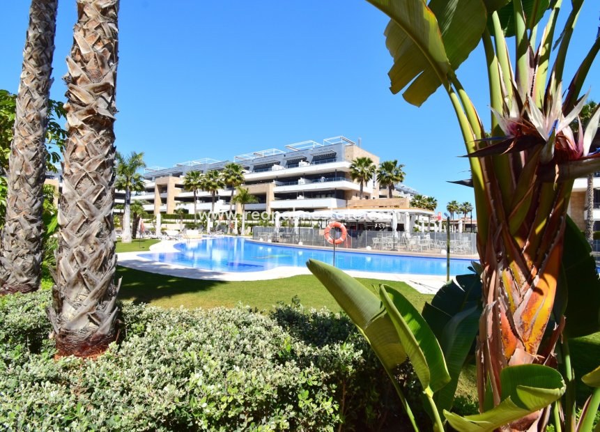 Resale - Apartments -
Orihuela Costa