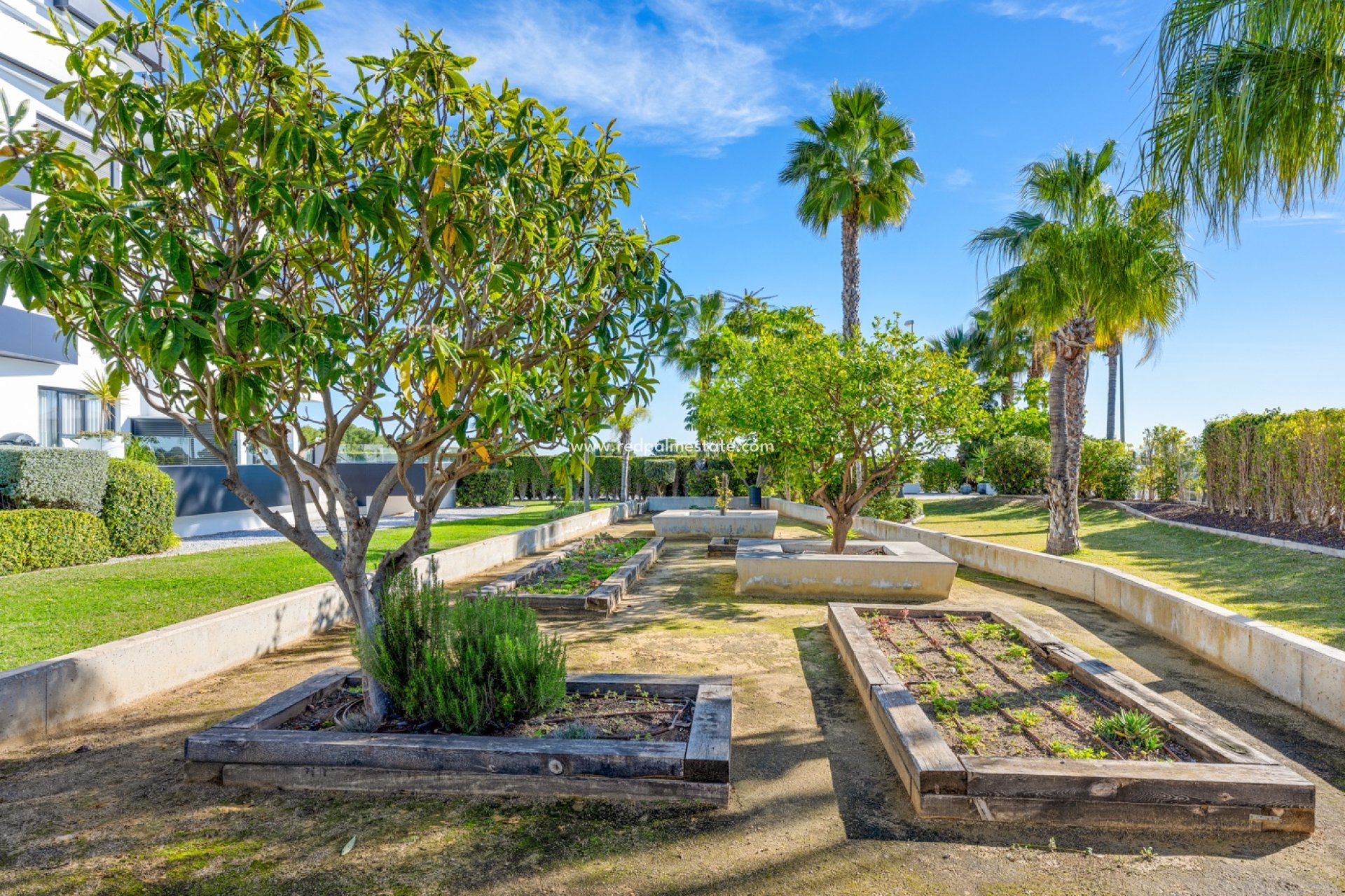 Resale - Apartments -
Orihuela Costa