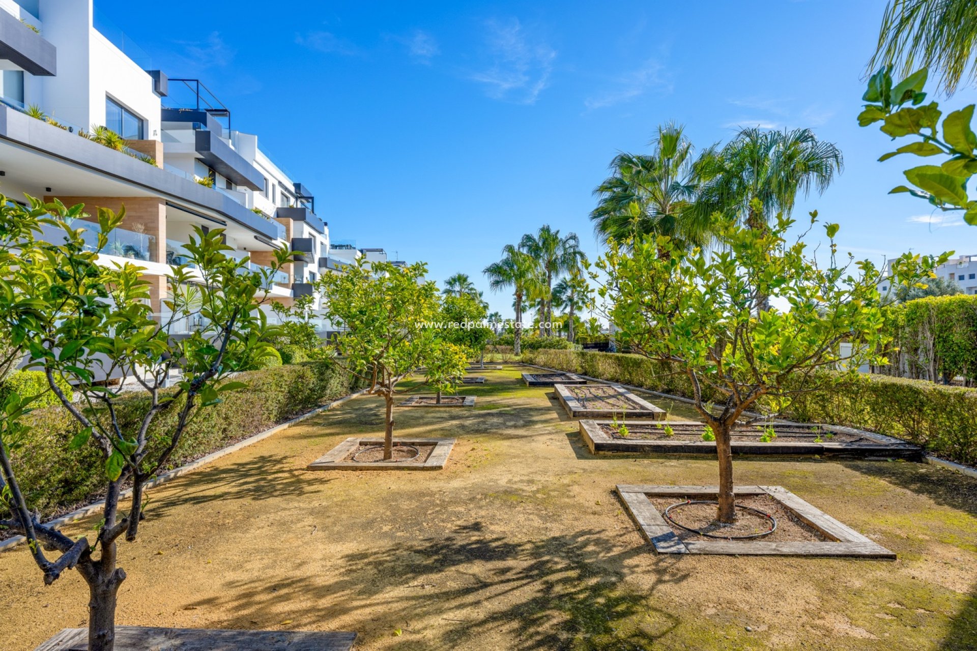 Resale - Apartments -
Orihuela Costa
