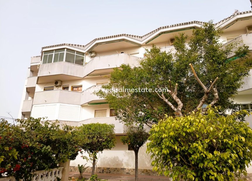 Resale - Apartments -
Orihuela Costa