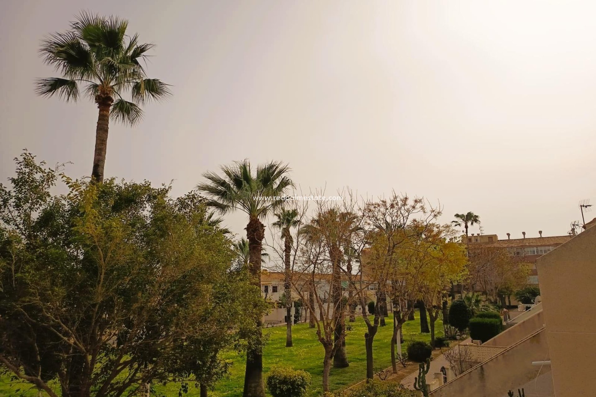 Resale - Apartments -
Orihuela Costa