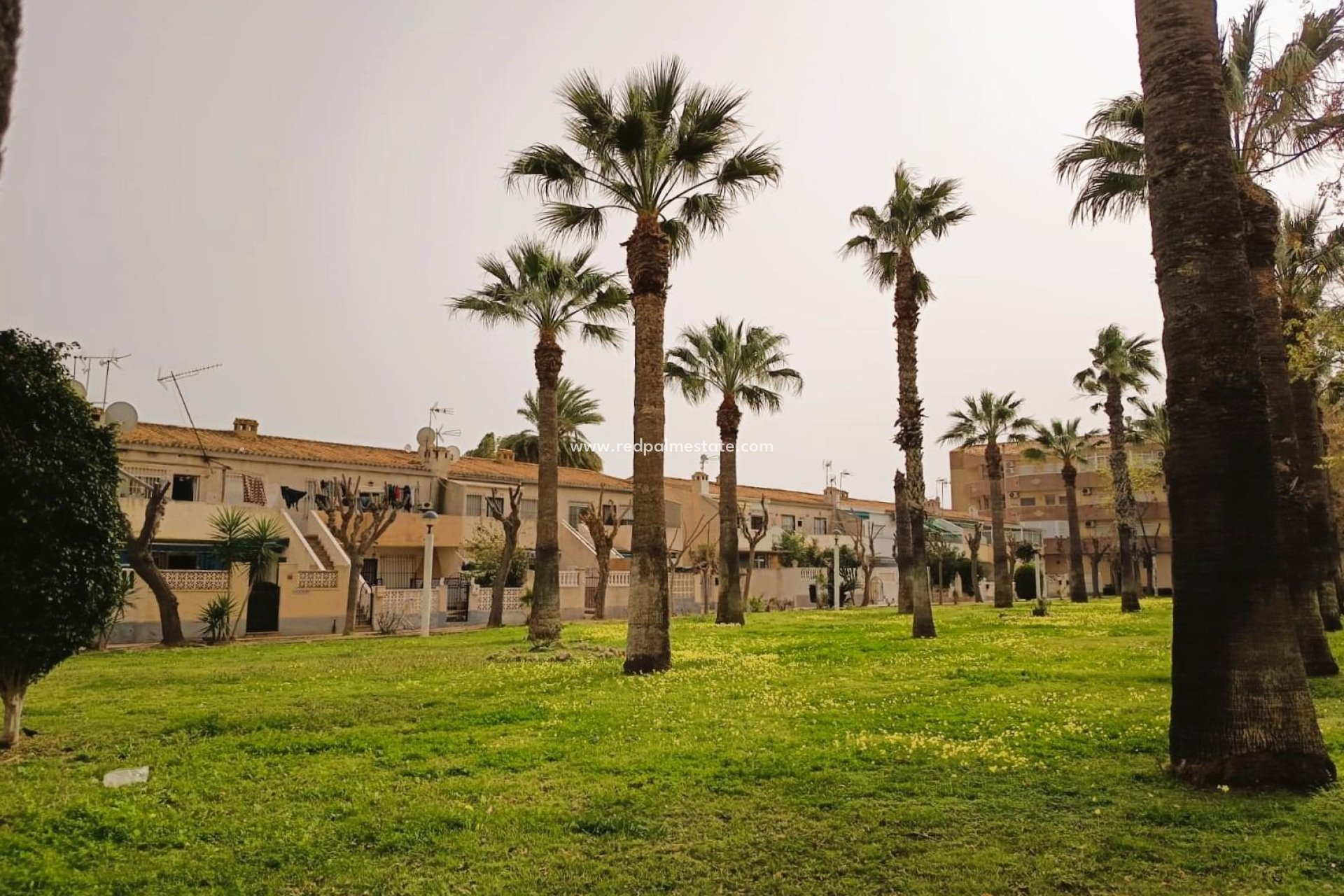 Resale - Apartments -
Orihuela Costa