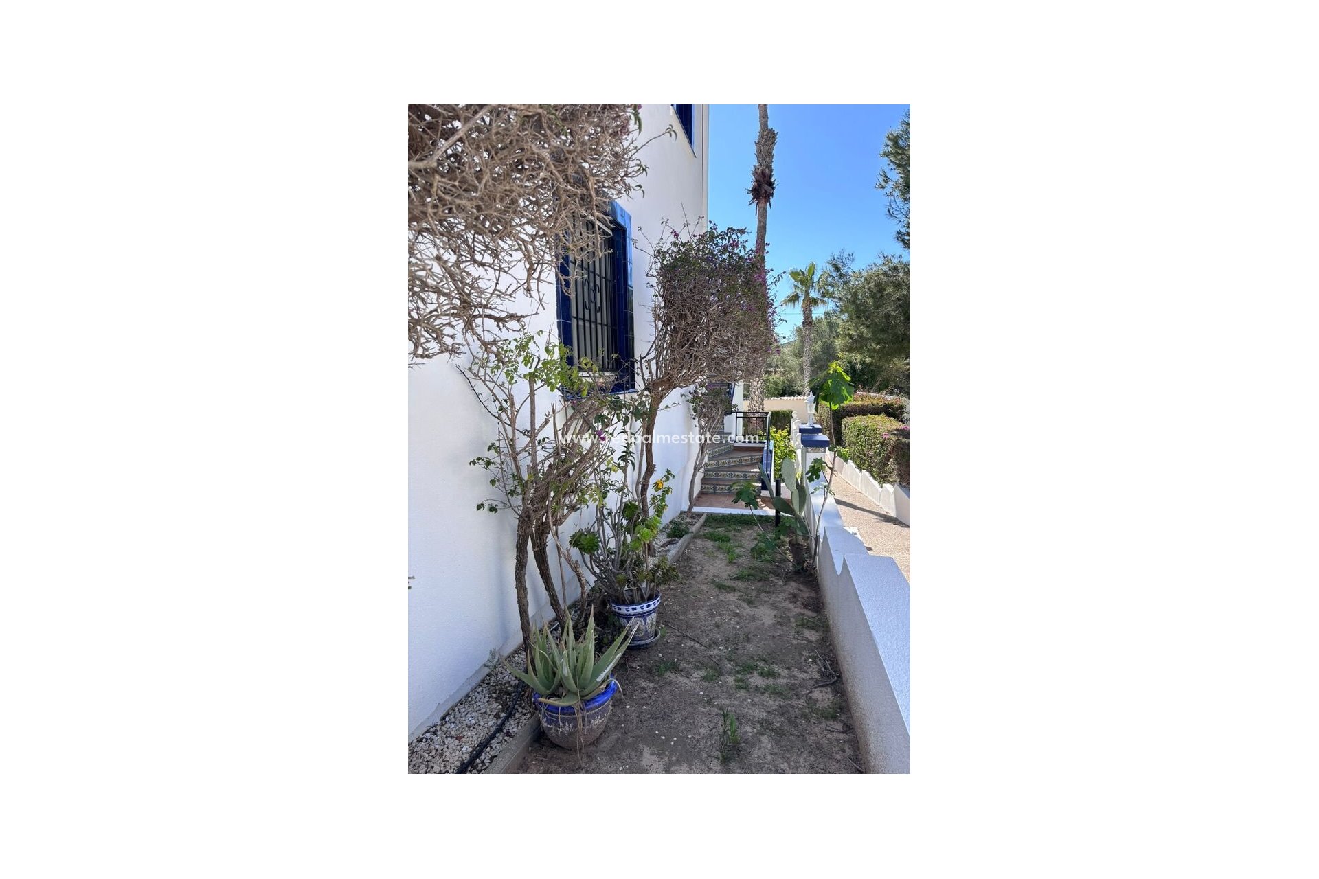 Resale - Apartments -
Orihuela Costa