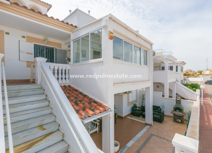 Resale - Apartments -
Playa Flamenca - Zenia Mar