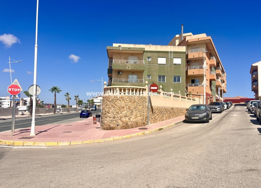 Resale - Apartments -
San Miguel de Salinas - Inland