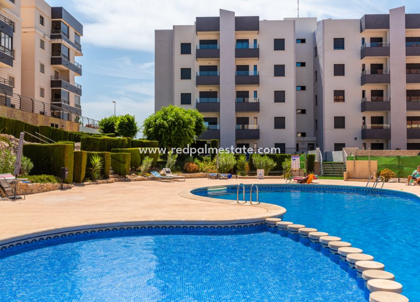 Resale - Apartments -
San Miguel de Salinas - Inland