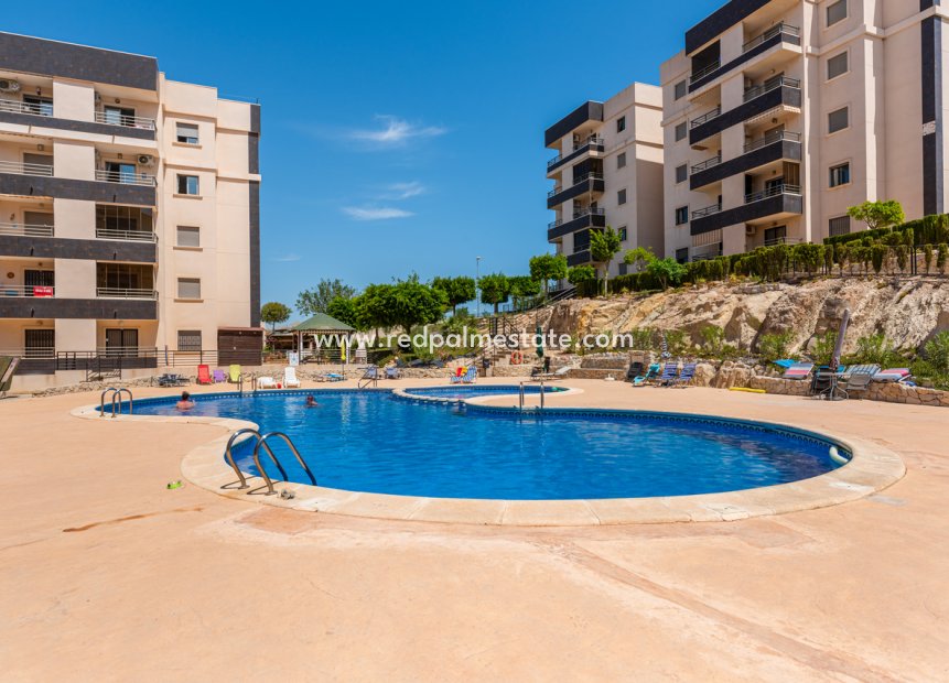 Resale - Apartments -
San Miguel de Salinas - Inland
