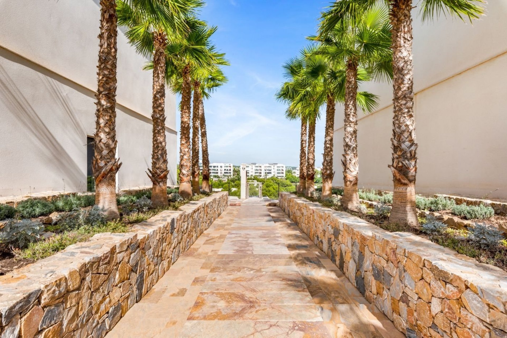 Resale - Apartments -
San Miguel de Salinas - Las Colinas Golf