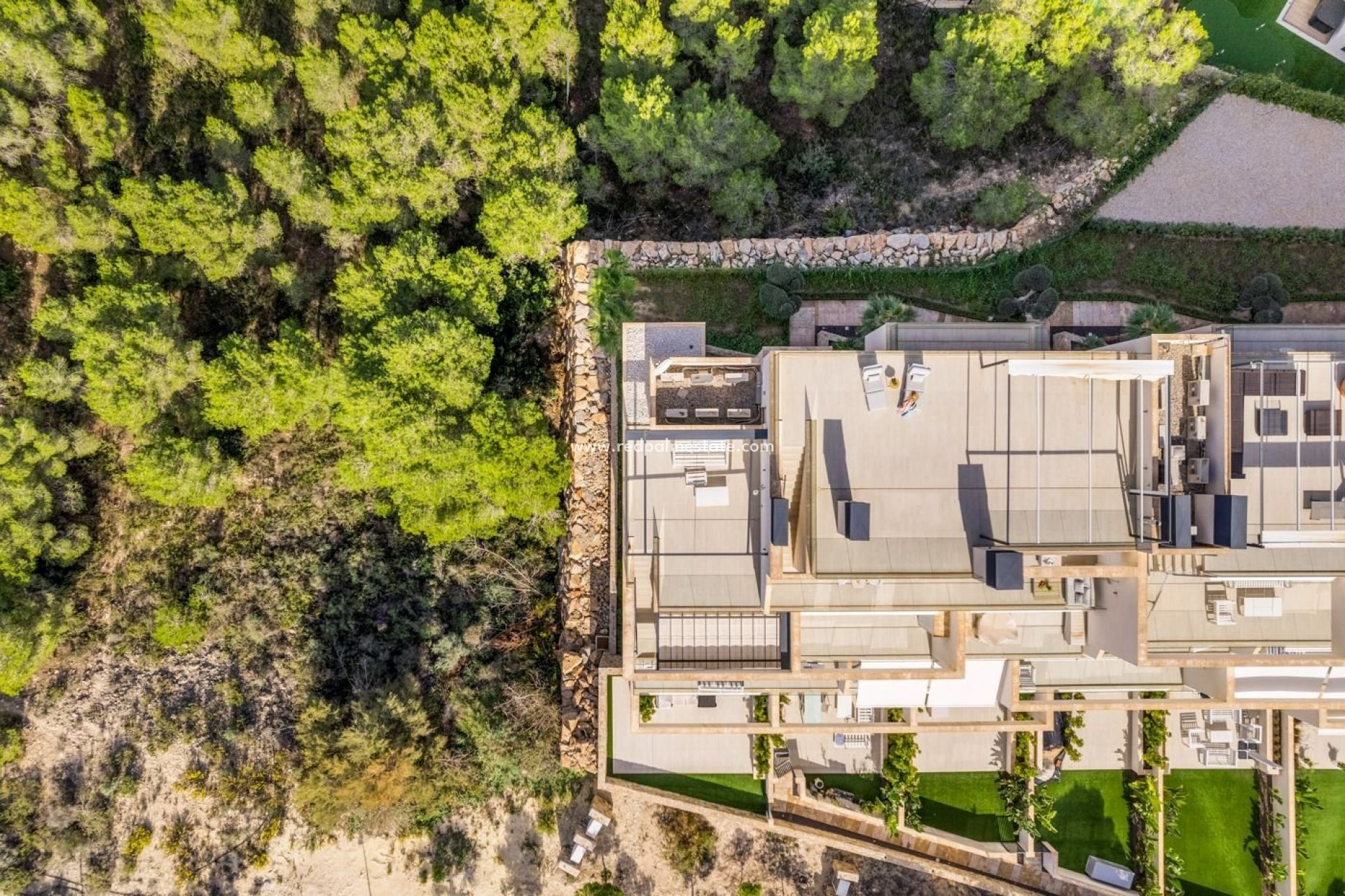 Resale - Apartments -
San Miguel de Salinas - Las Colinas Golf