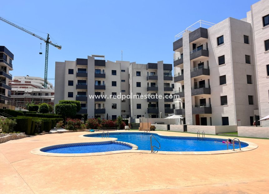 Resale - Apartments -
San Miguel de Salinas - San Miguel Salinas