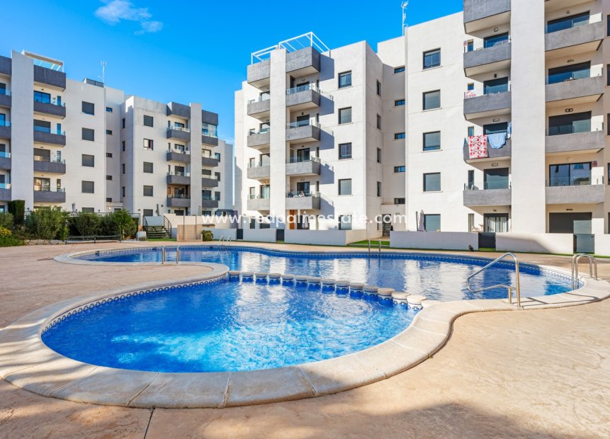 Resale - Apartments -
San Miguel de Salinas - San Miguel