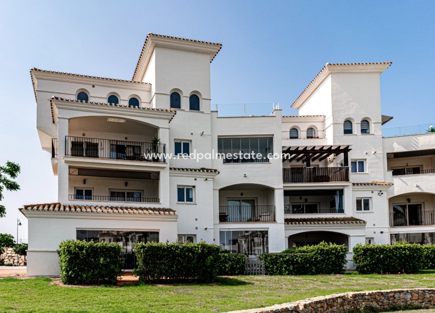 Resale - Apartments -
Sucina - Hacienda Riquelme Golf