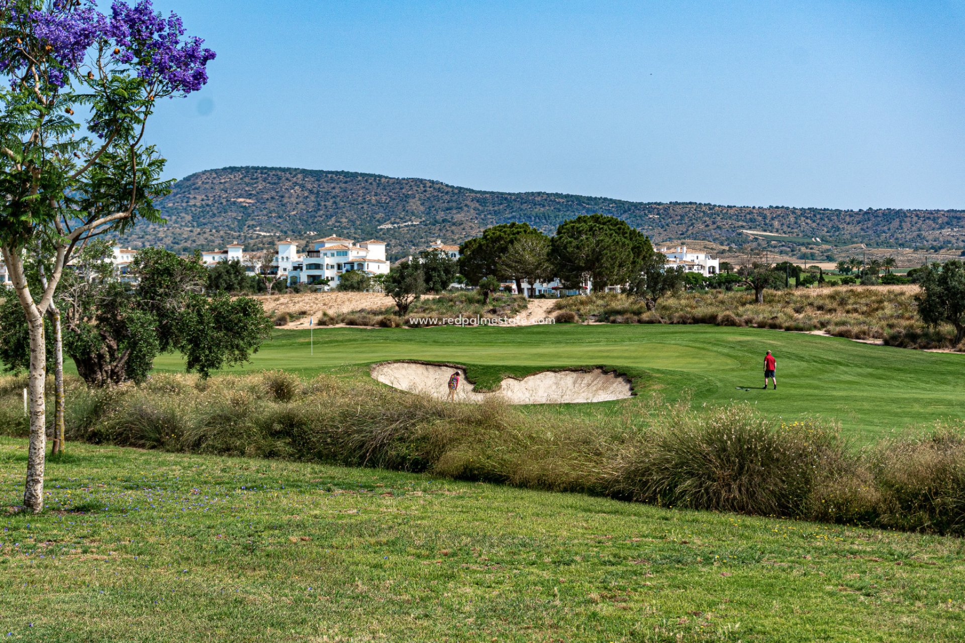 Resale - Apartments -
Sucina - Hacienda Riquelme Golf