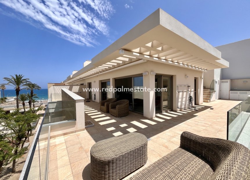 Resale - Apartments -
Torre de la Horadada - Costa Blanca