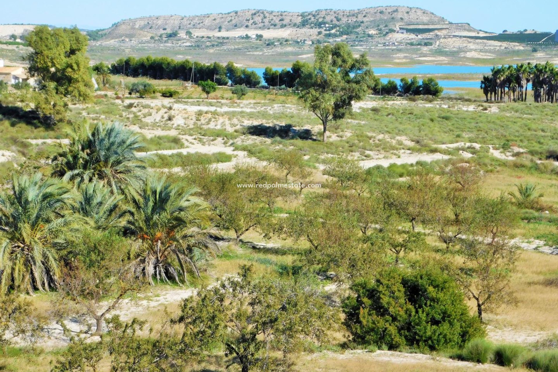 Resale - Apartments -
Torremendo