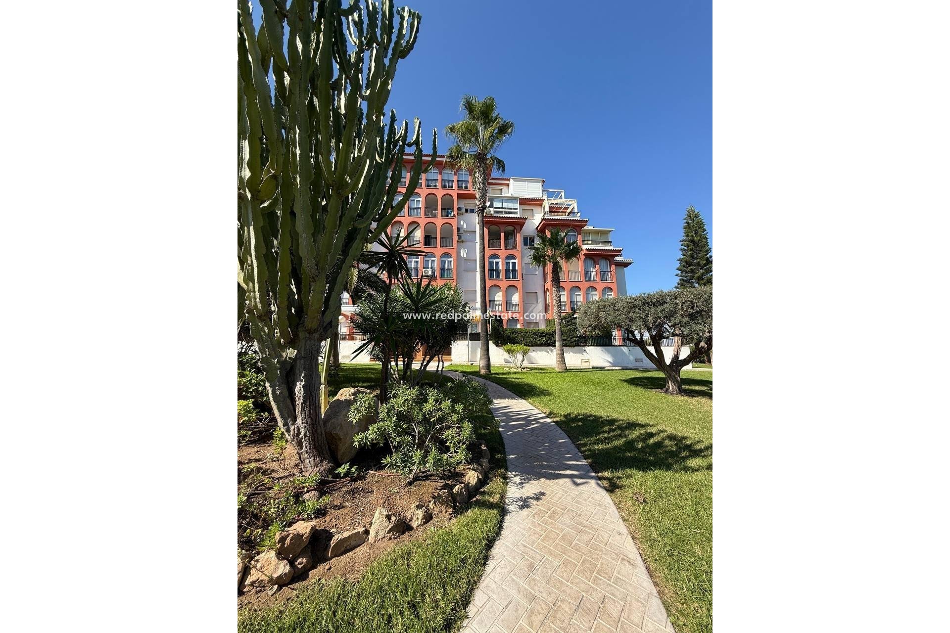 Resale - Apartments -
Torrevieja - Aguas Nueva