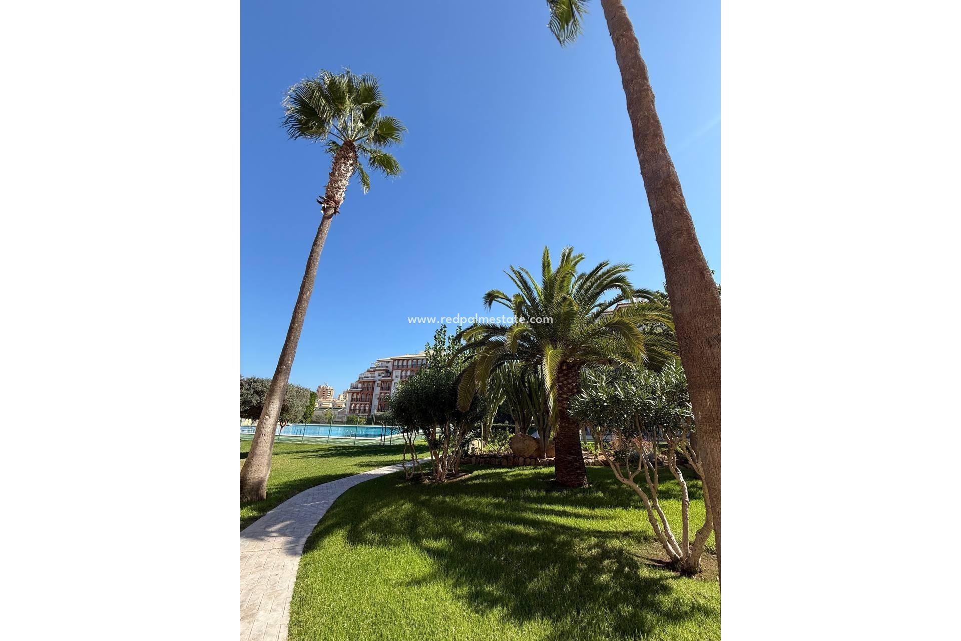 Resale - Apartments -
Torrevieja - Aguas Nueva