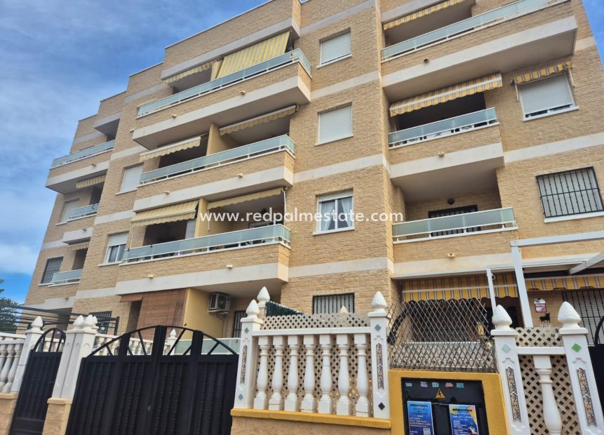 Resale - Apartments -
Torrevieja - Aguas Nueva