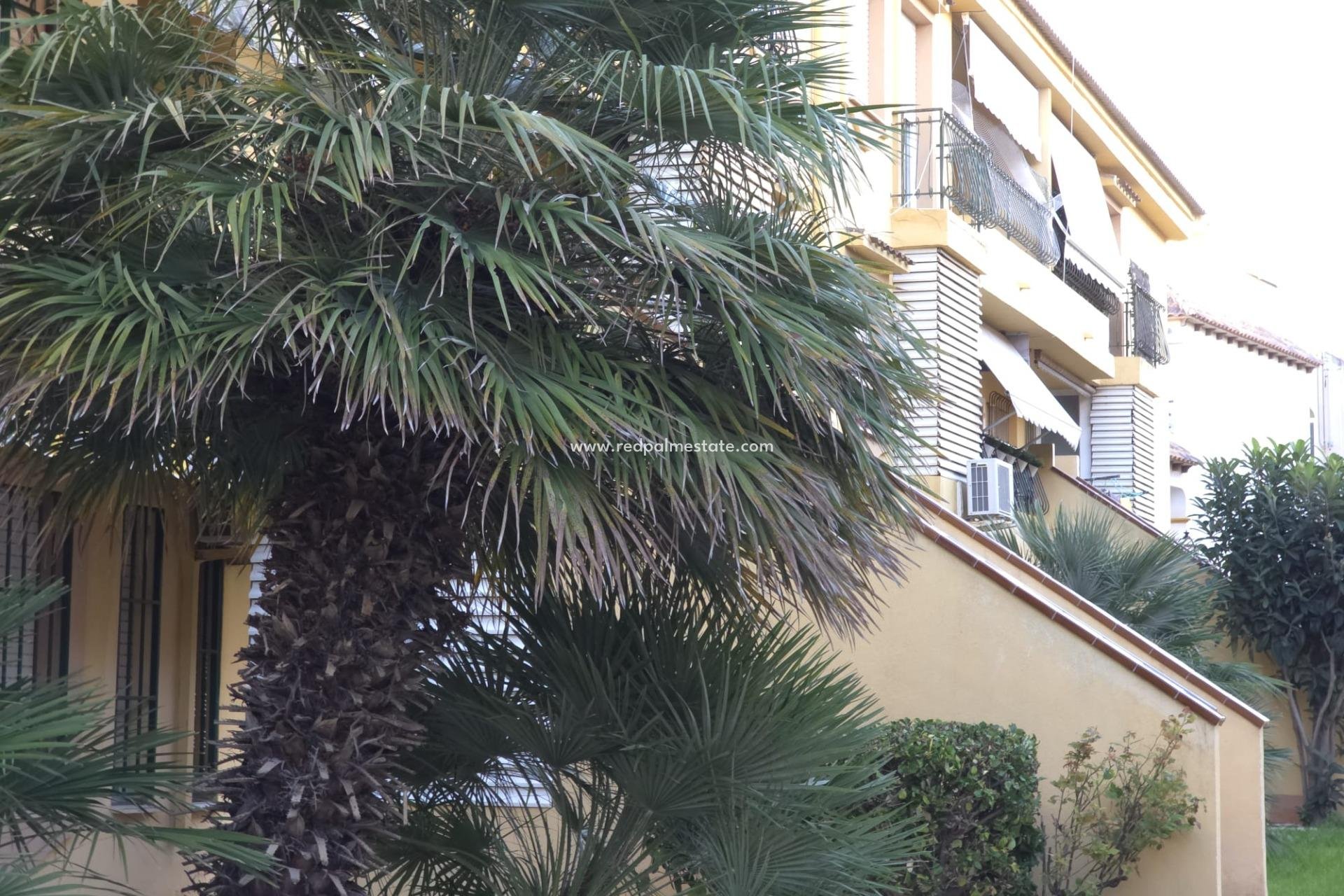 Resale - Apartments -
Torrevieja - Cala Ferris