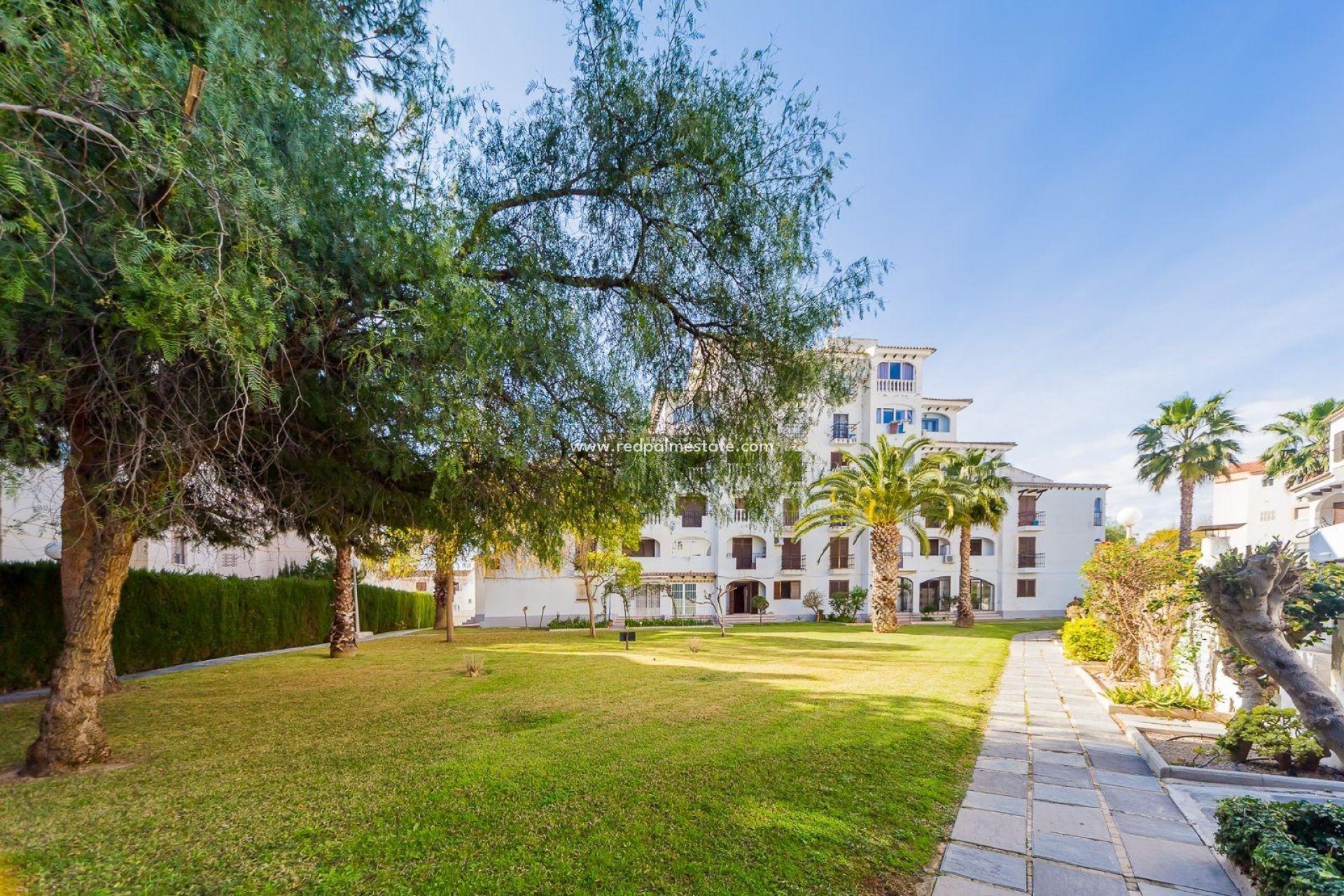 Resale - Apartments -
Torrevieja - Calas blanca