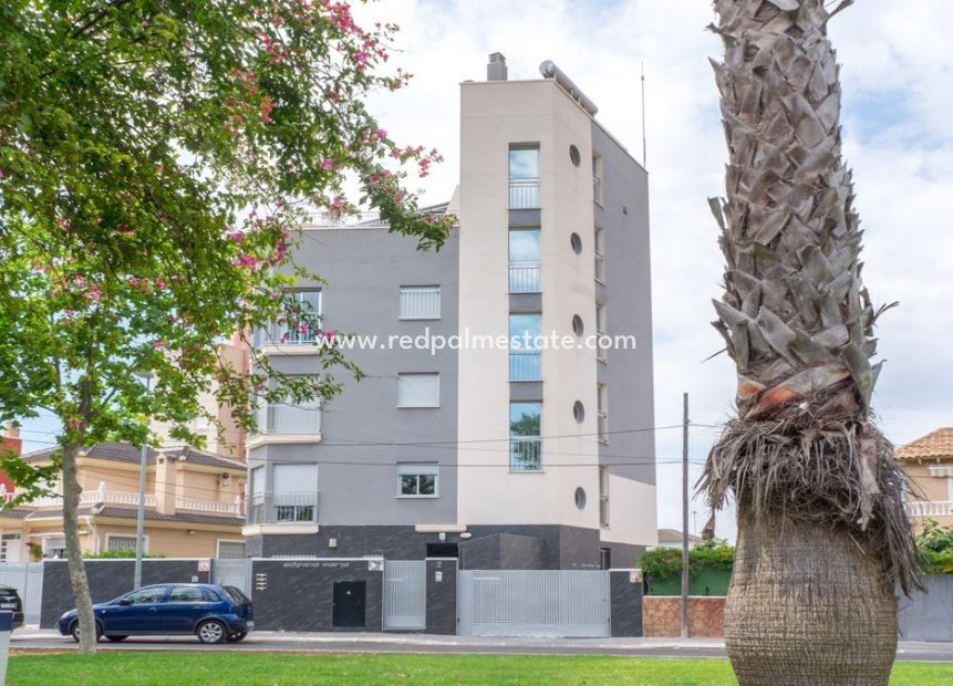 Resale - Apartments -
Torrevieja - Center