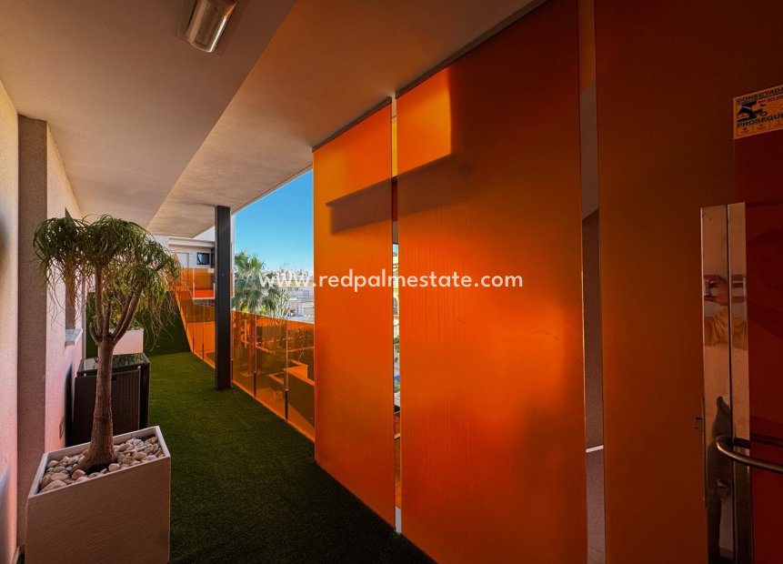 Resale - Apartments -
Torrevieja - Center