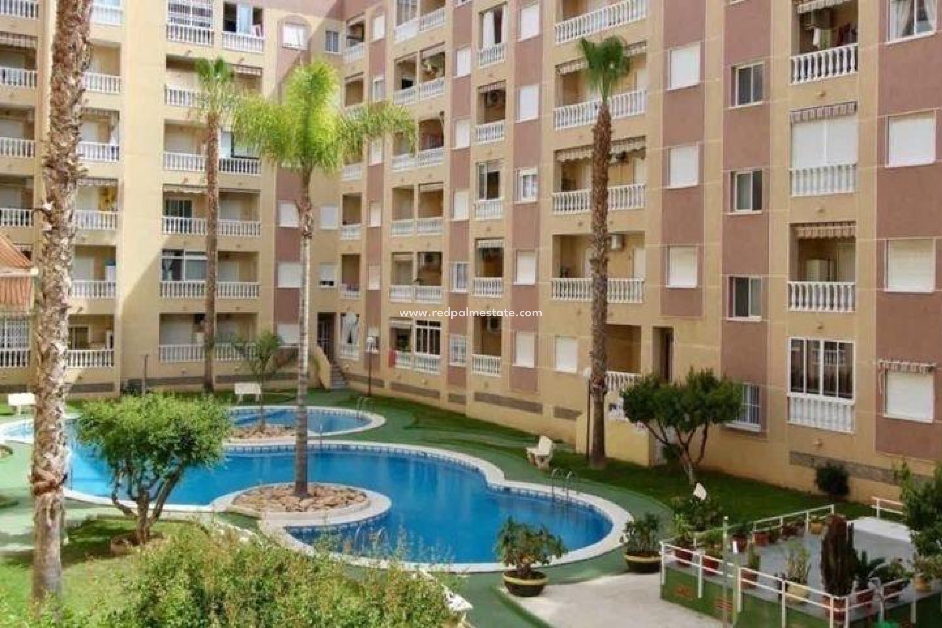Resale - Apartments -
Torrevieja - Centro Torrevieja