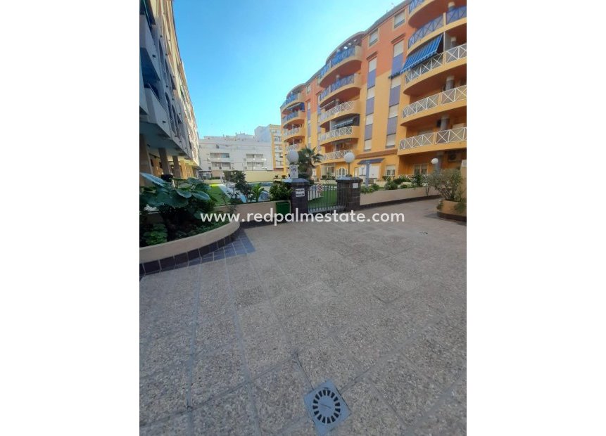 Resale - Apartments -
Torrevieja - Centro Torrevieja