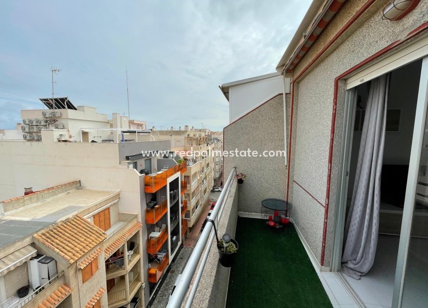 Resale - Apartments -
Torrevieja - Centro Torrevieja
